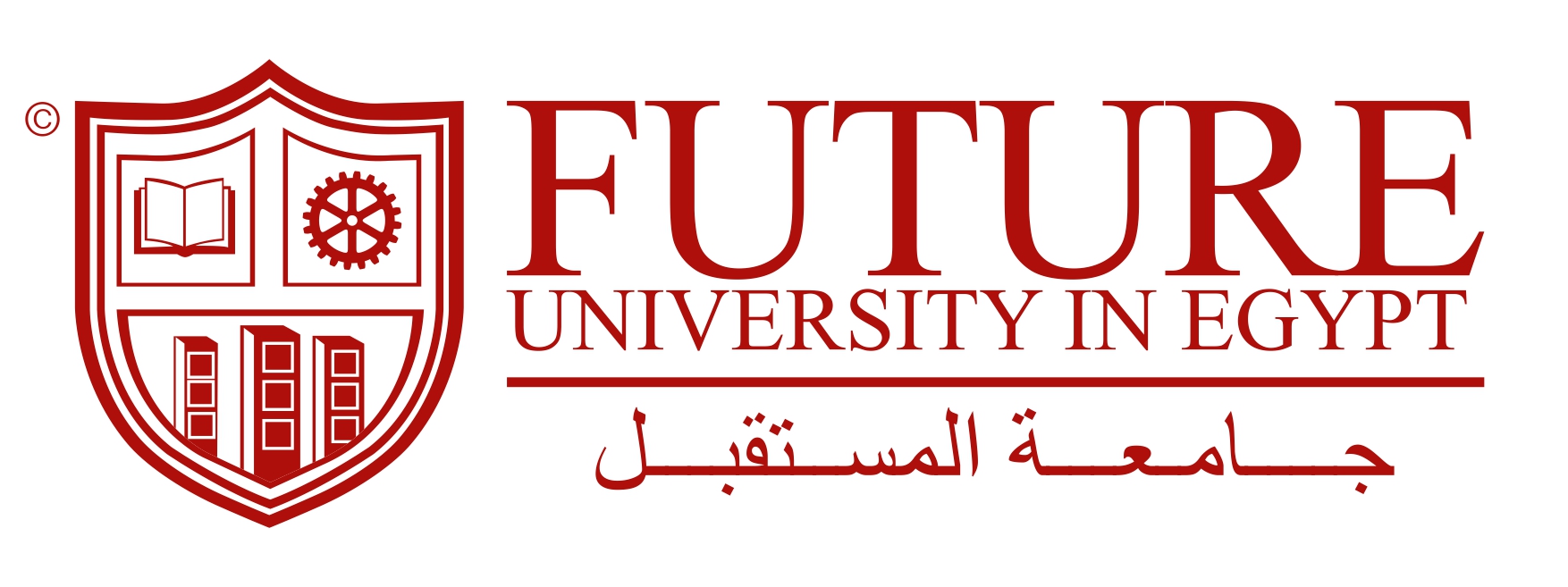 Future University - Full tuition year